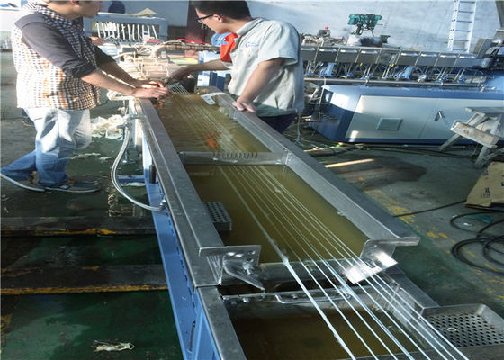 China CE de grande resistência ISO9001 da máquina dupla da extrusão do parafuso LFRT aprovado fornecedor